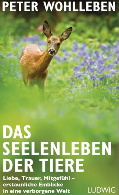 Bild von WOHLLEBEN Das Seelenleben der Tiere