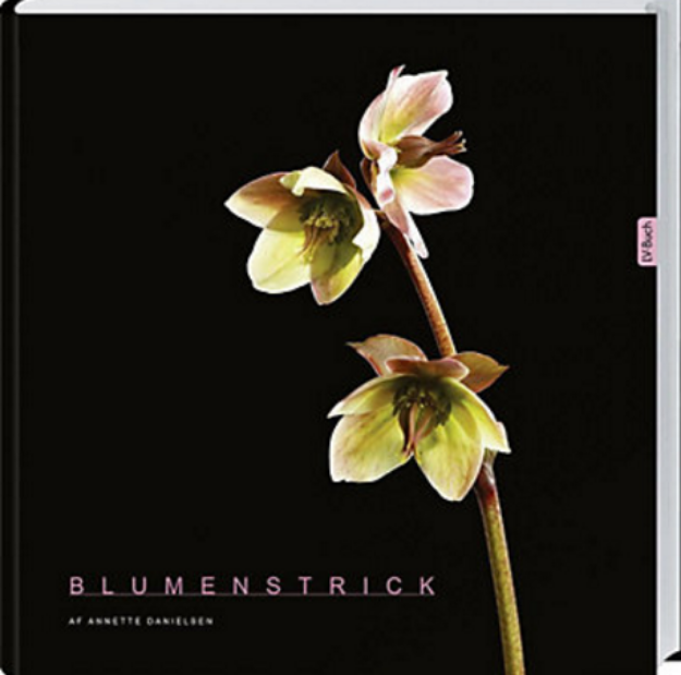 Bild von DANIELSEN Blumenstrick