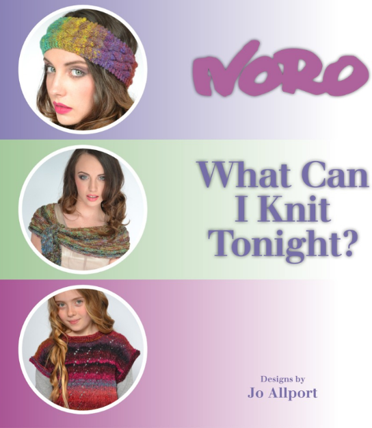 Bild von NORO What can I knit tonight?