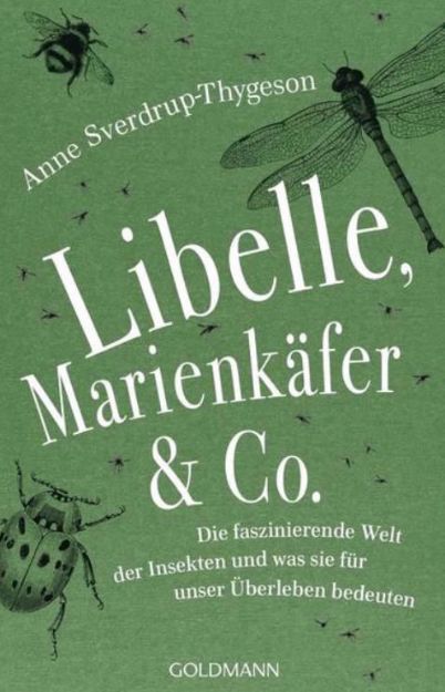 Bild von SVERDRUP-THYGESON Libelle, Marienkäfer & Co.