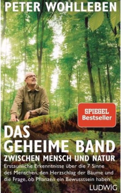 Bild von WOHLLEBEN Das geheime Band zwischen Mensch und Natur