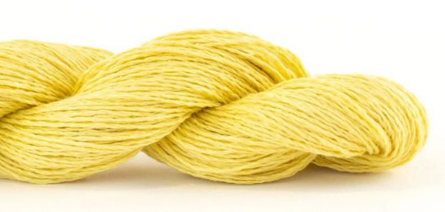 SHIBUI KNITS KOAN canary 2217