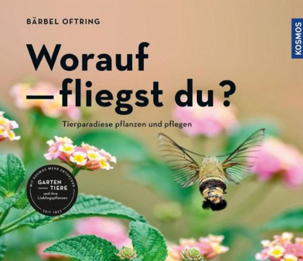 Bild von OFTRING Worauf fliegst du?