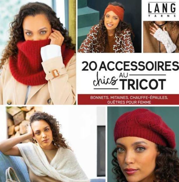 Bild von HOTTE 20 Accessoires au Tricot Chics
