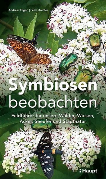 Bild von GIGON Symbiosen beobachten