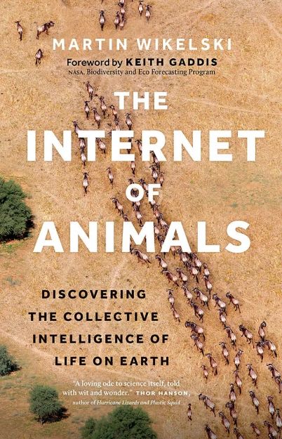 Bild von WIKELSKI The Internet of Animals