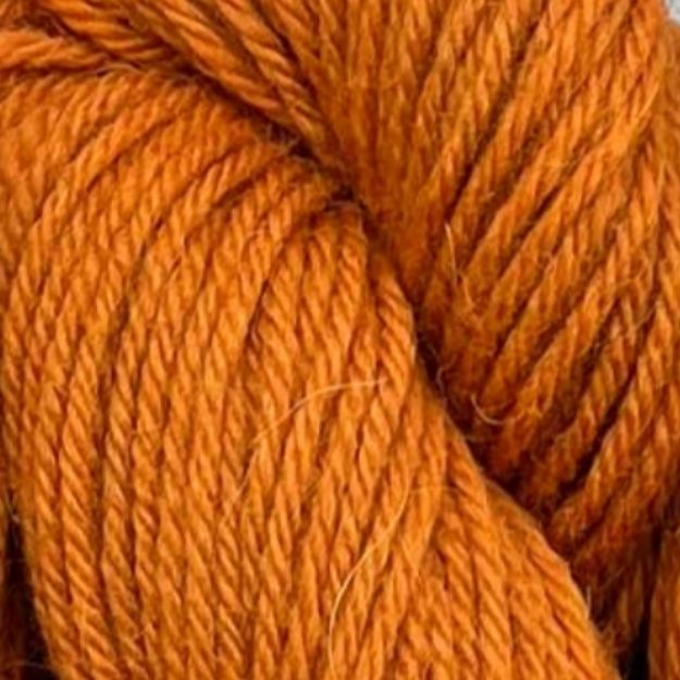 PASCUALI SAYAMA 306