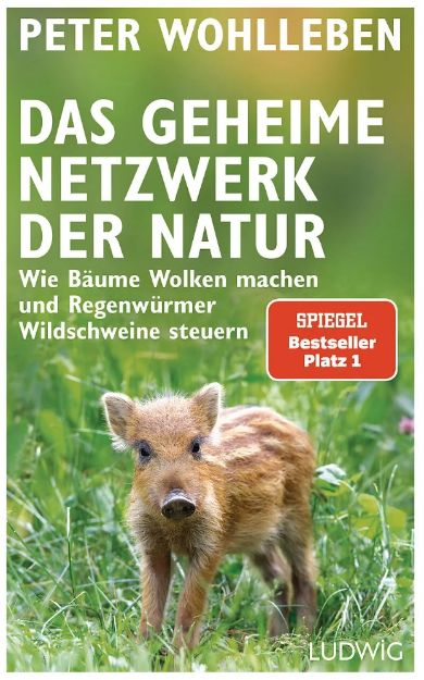 Bild von WOHLLEBEN Das geheime Netzwerk der Natur