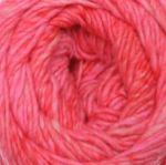 NORO MALVINAS hibiscus 49