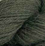 PASCUALI SAYAMA 329