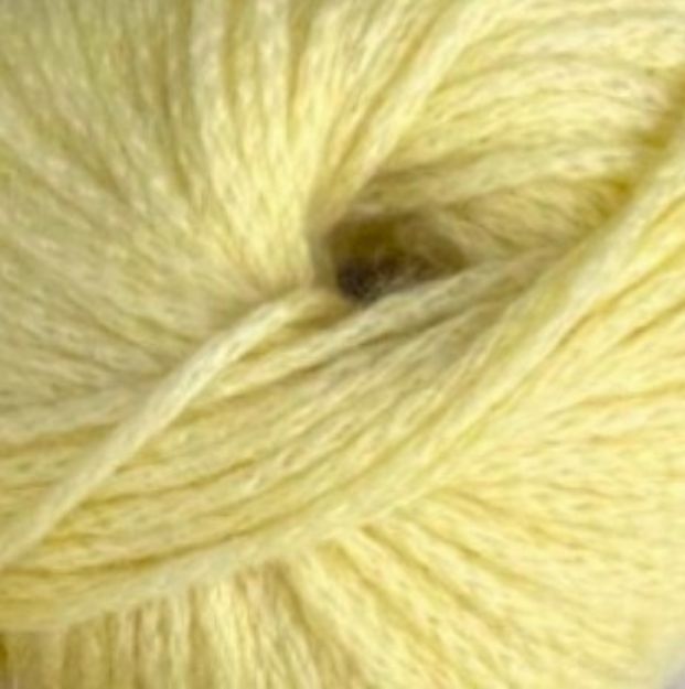 PASCUALI CASHMERE DELIZIA kükengelb 76