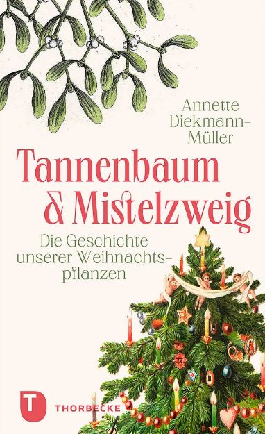 Bild von DIEKMANN-MÜLLER Tannenbaum & Mistelzweig