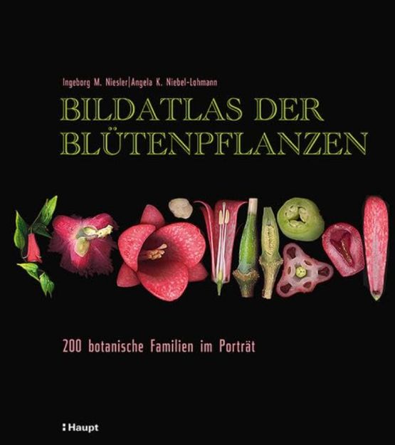 Bild von NIESLER Bildatlas der Blütenpflanzen