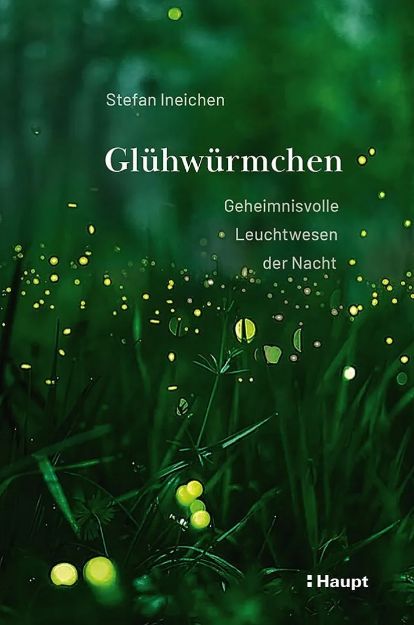 Bild von INEICHEN Glühwürmchen