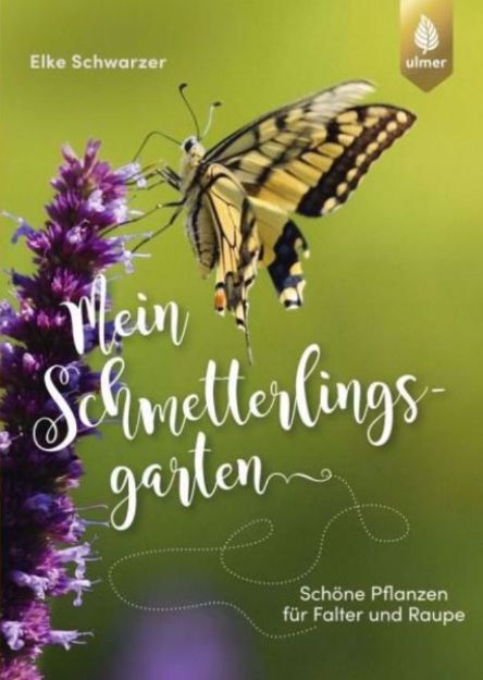 Bild von SCHWARZER Mein Schmetterlingsgarten