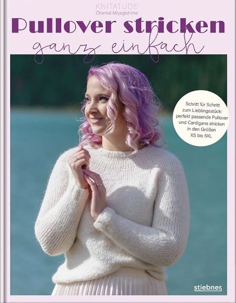 Bild von MIYAGISHIMA Pullover stricken ganz einfach